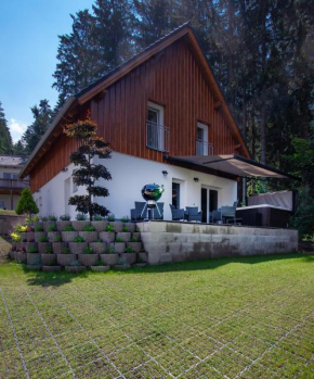 SPA Lakeside LIPNO CLUB, Frymburk Nad Vltavou